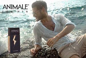 Recopilación De Perfume Animale Para Hombre 8211 Los Preferidos